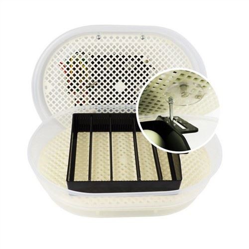 حاضنة البيض التلقائية