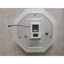 فقاسة بيض البط والدجاج