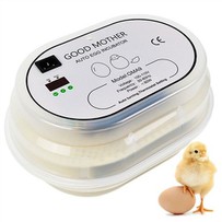 حاضنة بيض الأم الطيبة